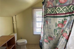 ShowImage-28