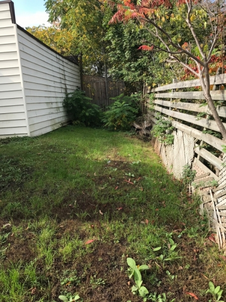 Small Grass Area behind Garages
