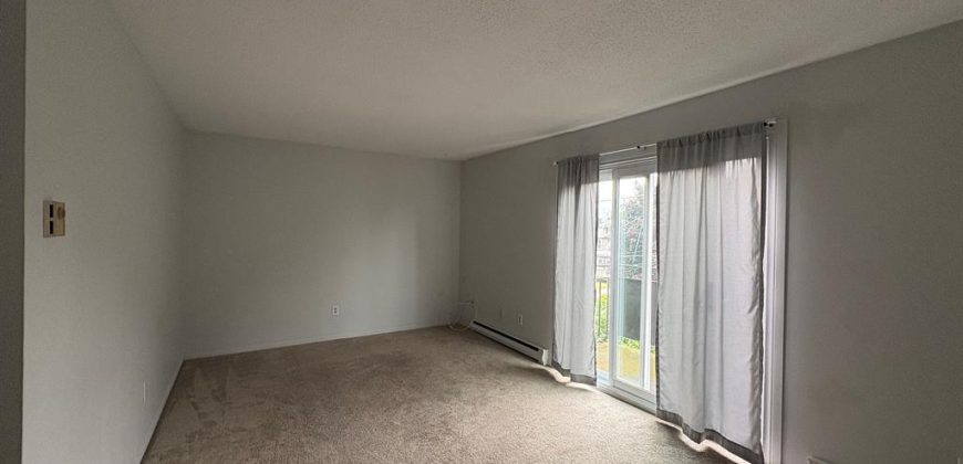 2 bedroom 1 bathroom apt for rent. 29 McNichol Avenue Unit #5, Quinte West, On. $1795 all inclusive
