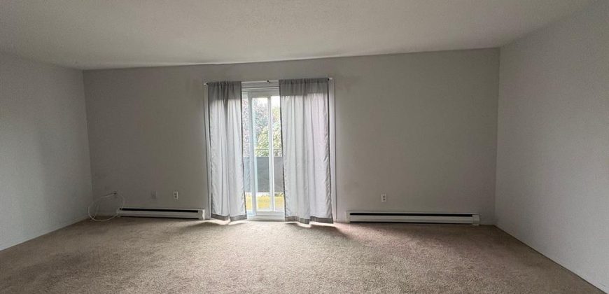 2 bedroom 1 bathroom apt for rent. 29 McNichol Avenue Unit #5, Quinte West, On. $1795 all inclusive