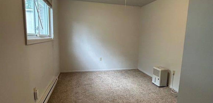 1 bedroom 1 bathroom apt for rent. 29 McNichol Ave, Unit #1, Quinte West. On. $1,595 all incl.