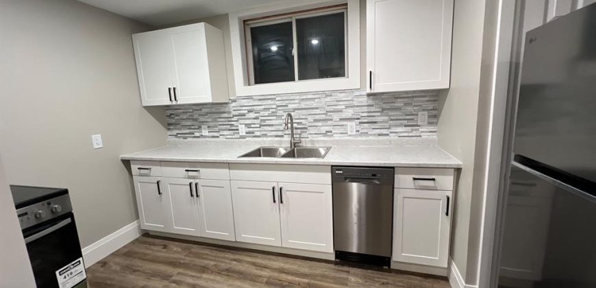 1 bedroom 1 bathroom apt for rent. 57 Salisbury Road, Prince Edward County, On. $1,500 all incl.