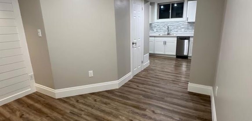 1 bedroom 1 bathroom apt for rent. 57 Salisbury Road, Prince Edward County, On. $1,500 all incl.