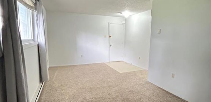 1 bedroom 1 bathroom apt for rent. 29 McNichol Ave, Unit #1, Quinte West. On. $1,595 all incl.