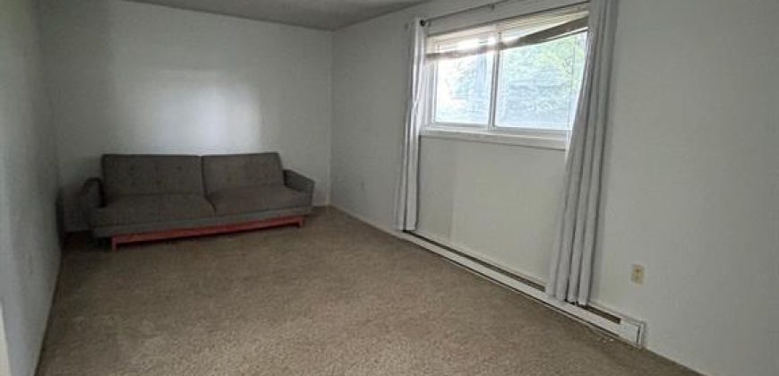 1 bedroom 1 bathroom apt for rent. 29 McNichol Ave, Unit #1, Quinte West. On. $1,595 all incl.