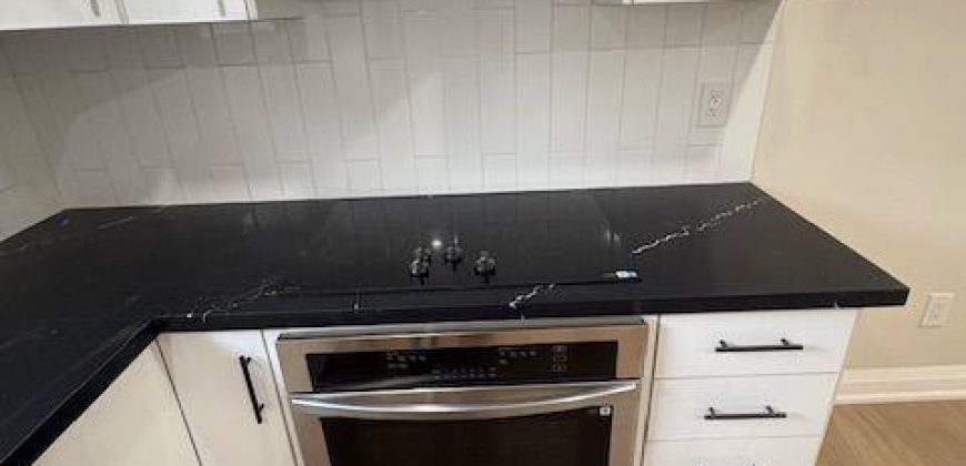 1 bedroom 1 bathroom apt for rent. 23 Robertson Lane Unit #A, Belleville, On.  $1500 plus 35% of utilities.