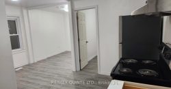1 bedroom 1 bathroom apt for rent. 27 Dundas Street E, Unit #2, Quinte West, On. $1,450 all inclusive.